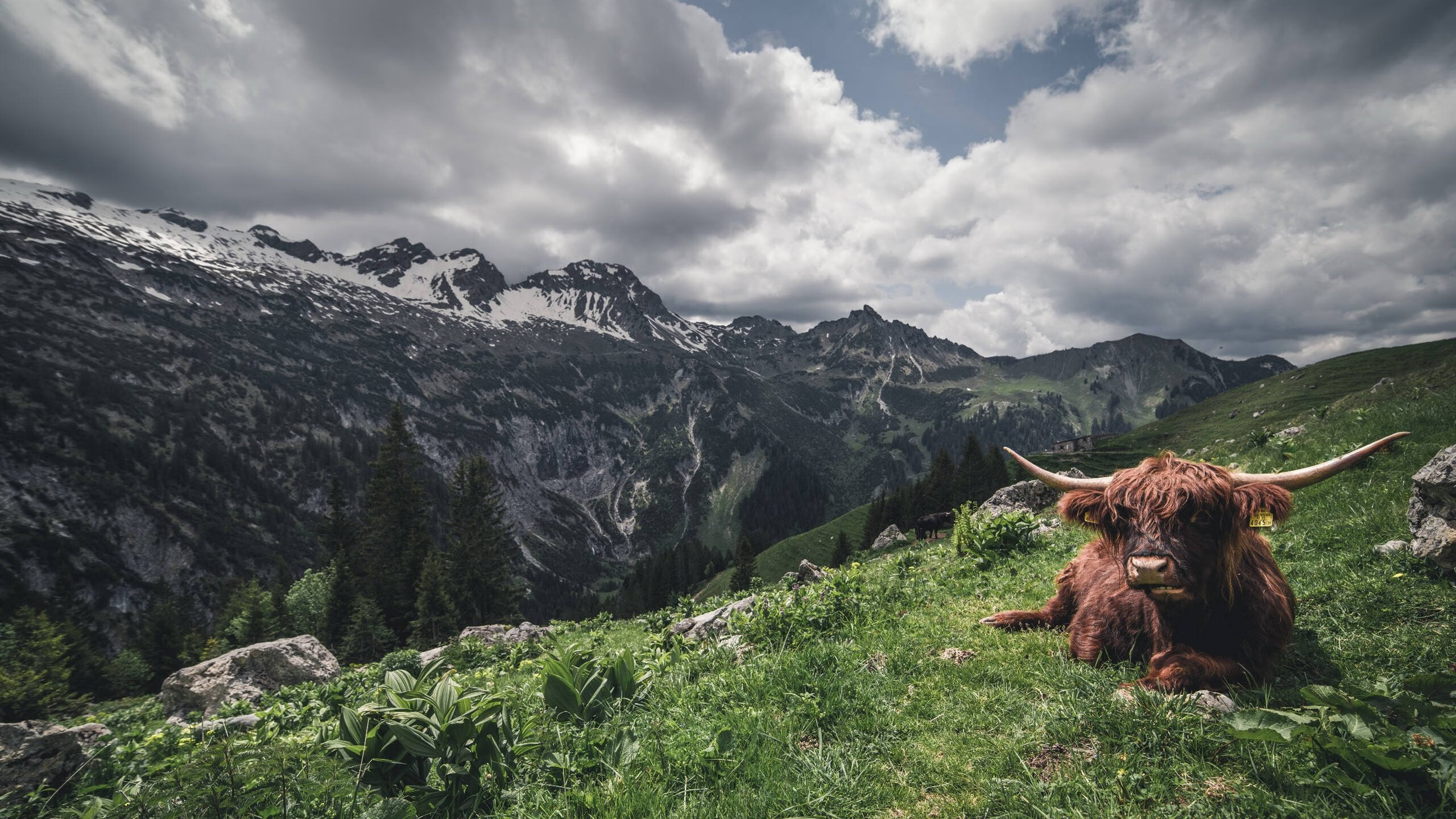 全民娱乐：家庭版台球比赛受热捧，家庭台球室效果图
