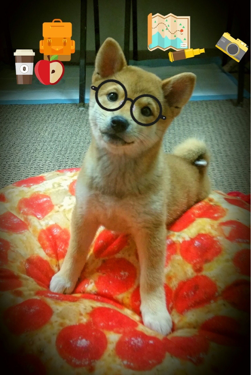 史诗级比赛回顾:那些经典瞬间永远难忘,回顾比赛精彩瞬间