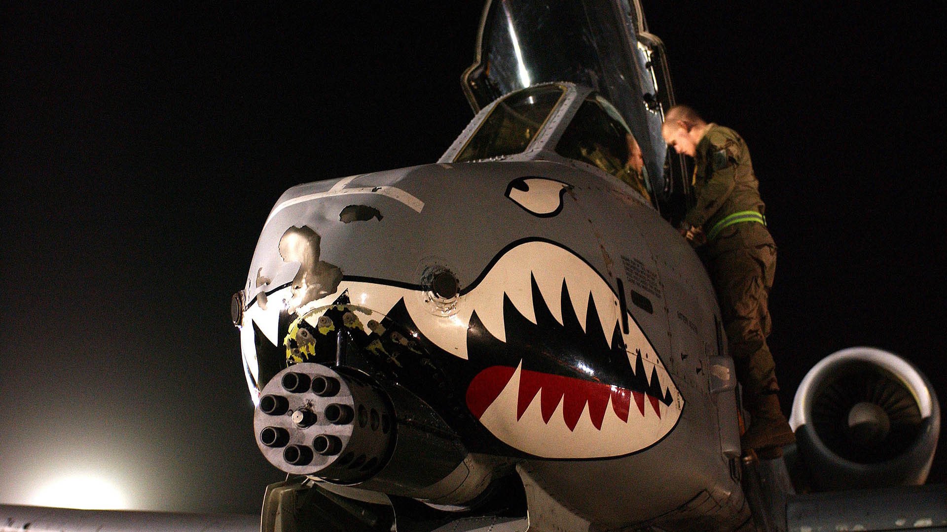 未来趋势:联盟的“绿色计划”将引领体育环保新风尚,绿色联盟应用体验标准