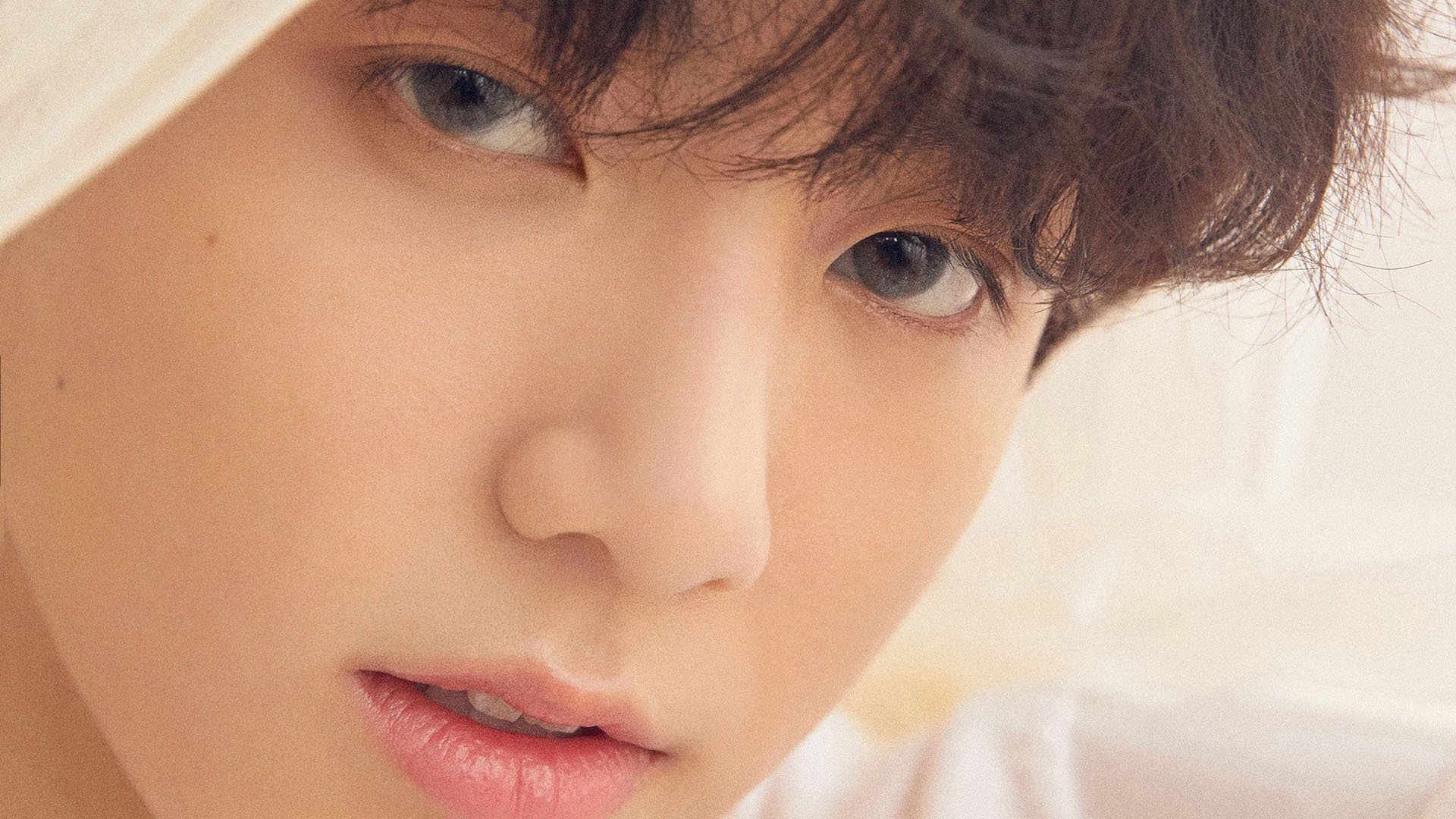 球迷创新应援,营造热烈比赛氛围,球队应援