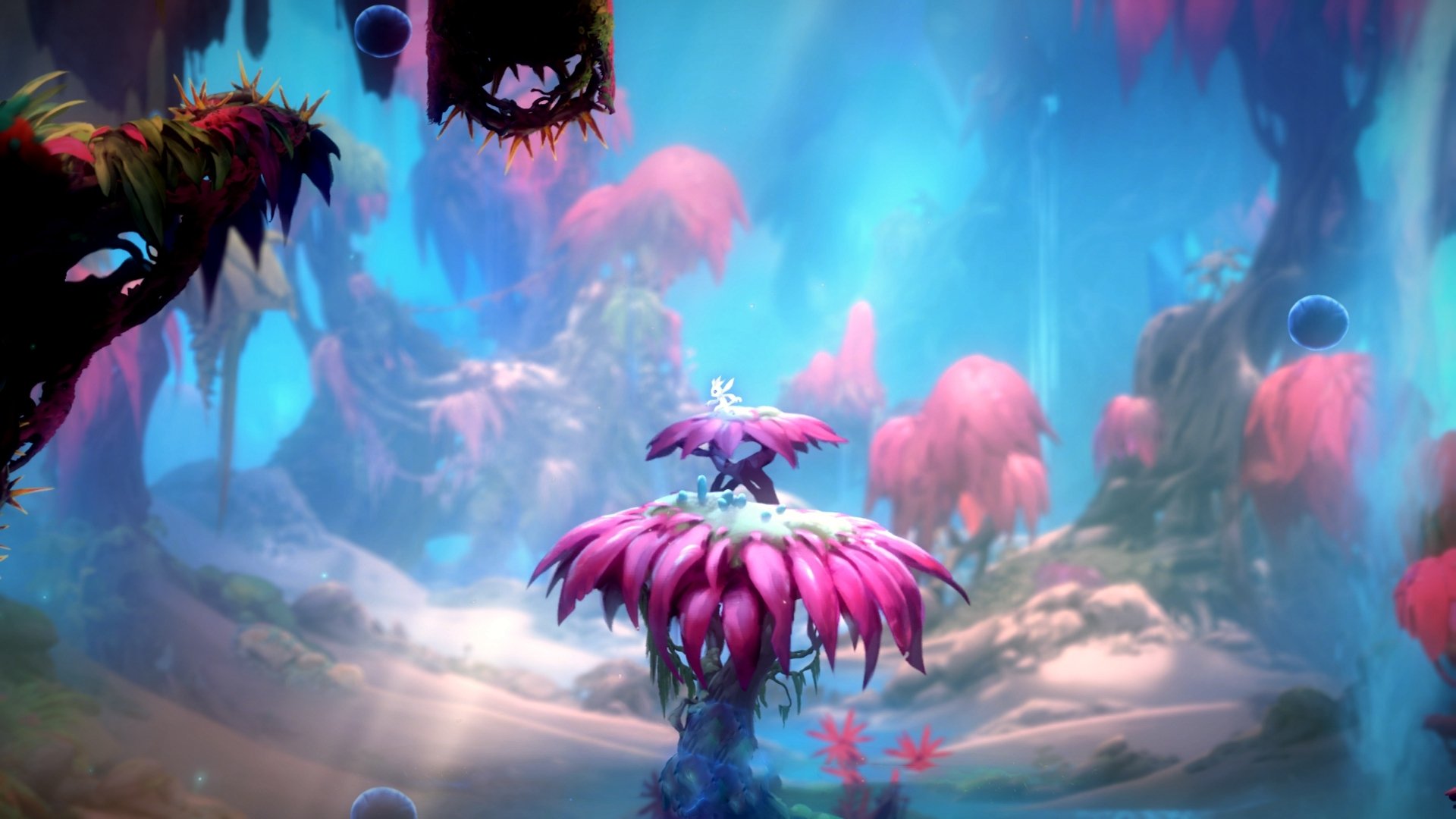 西甲豪门稳步推进青训项目,培养未来巨星,西甲青训规则