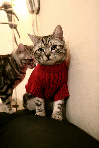 青少年“梦想启航”体育公益大使在全国多地火热开展,弘扬正能量