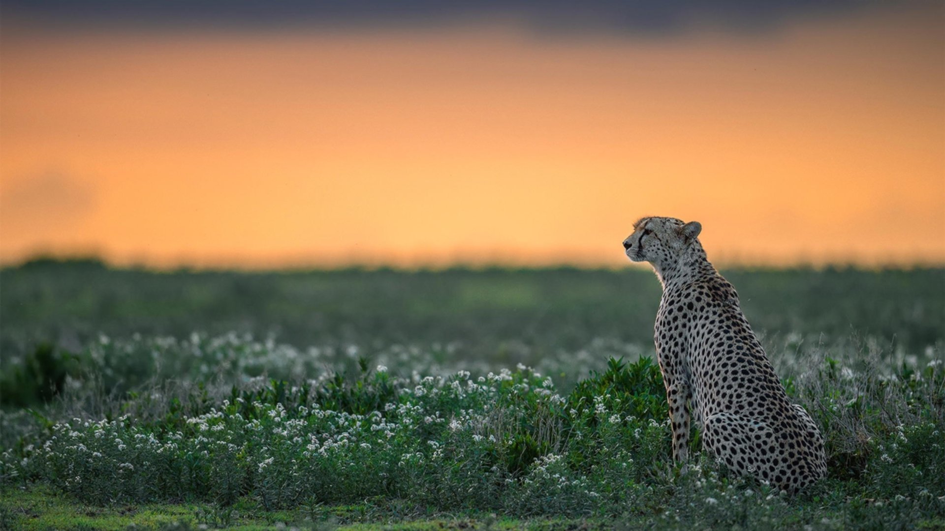 开云·体育官网-Gen.G战队阵容深度增强，gen.g战队lol