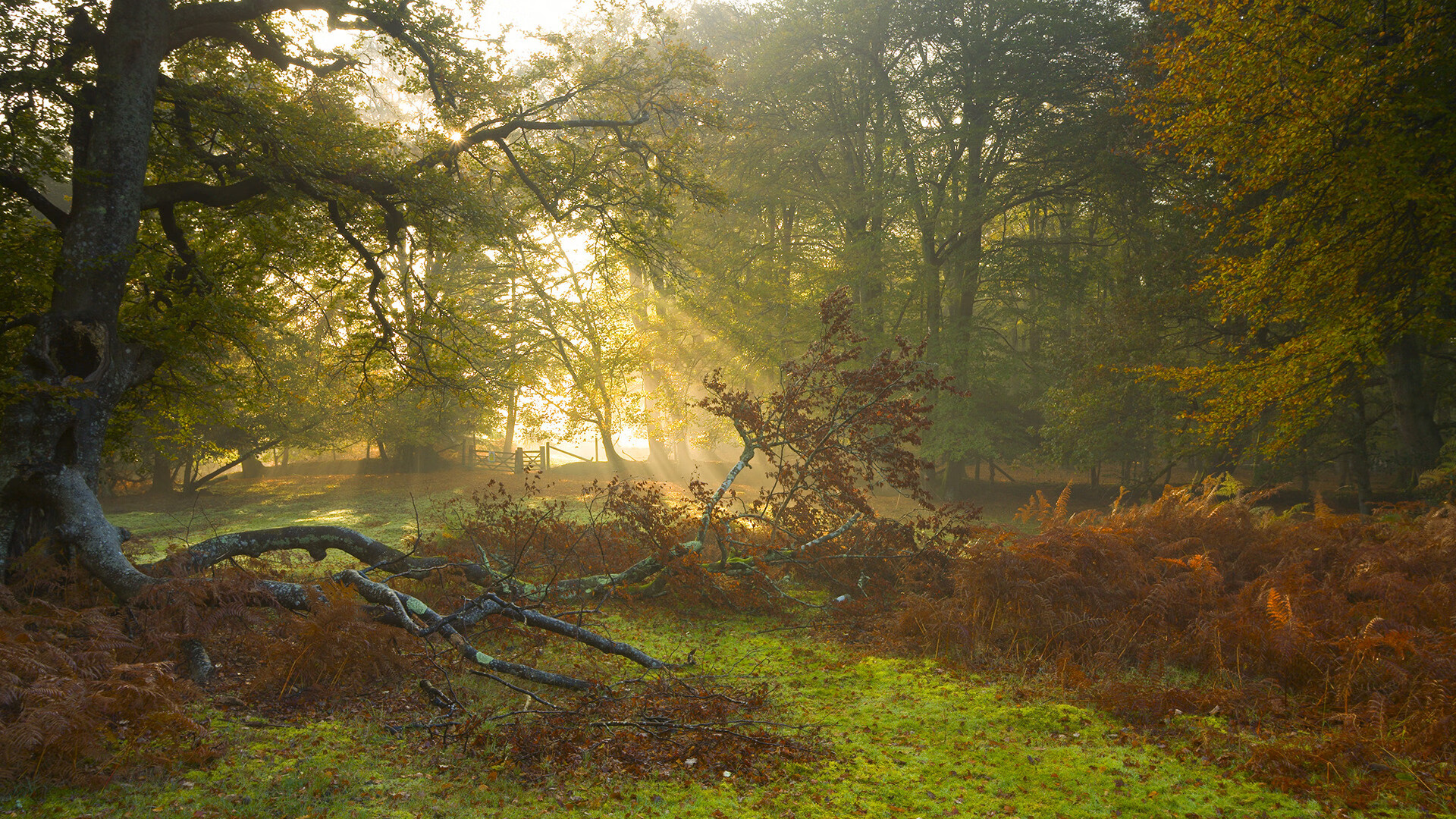 TES新赛季选手进场仪式全程标准化执行,tes选手名单