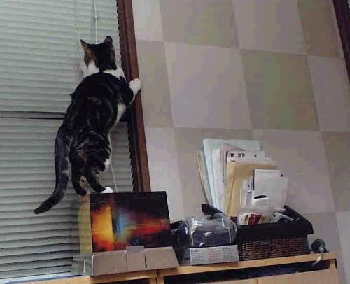 开云网站-全力奋战：新疆选手无畏反击获胜，无畏比赛直播